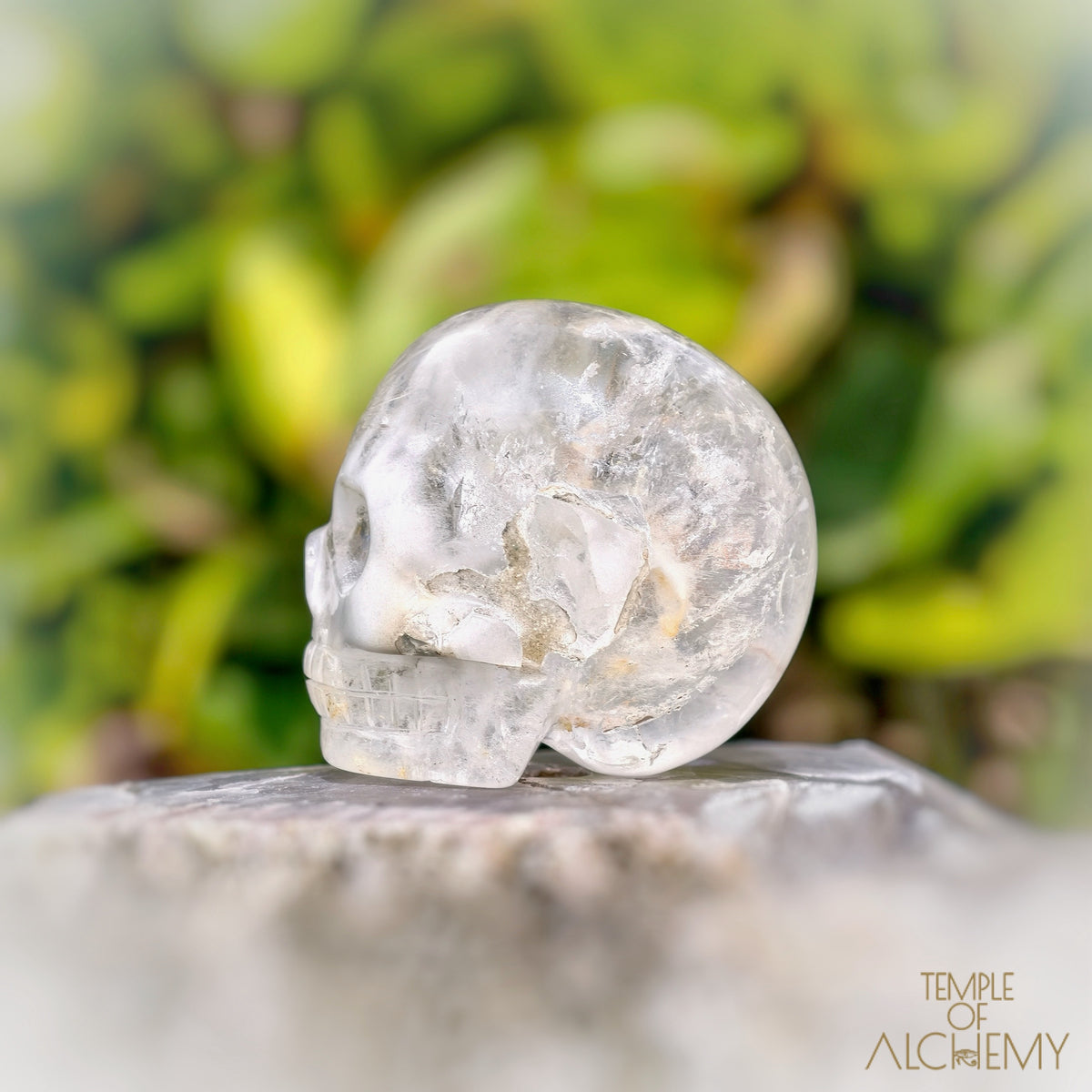 Amphibole Quartz