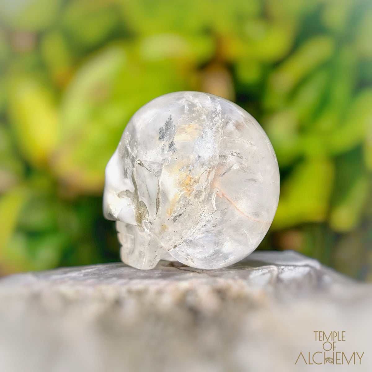 Amphibole Quartz