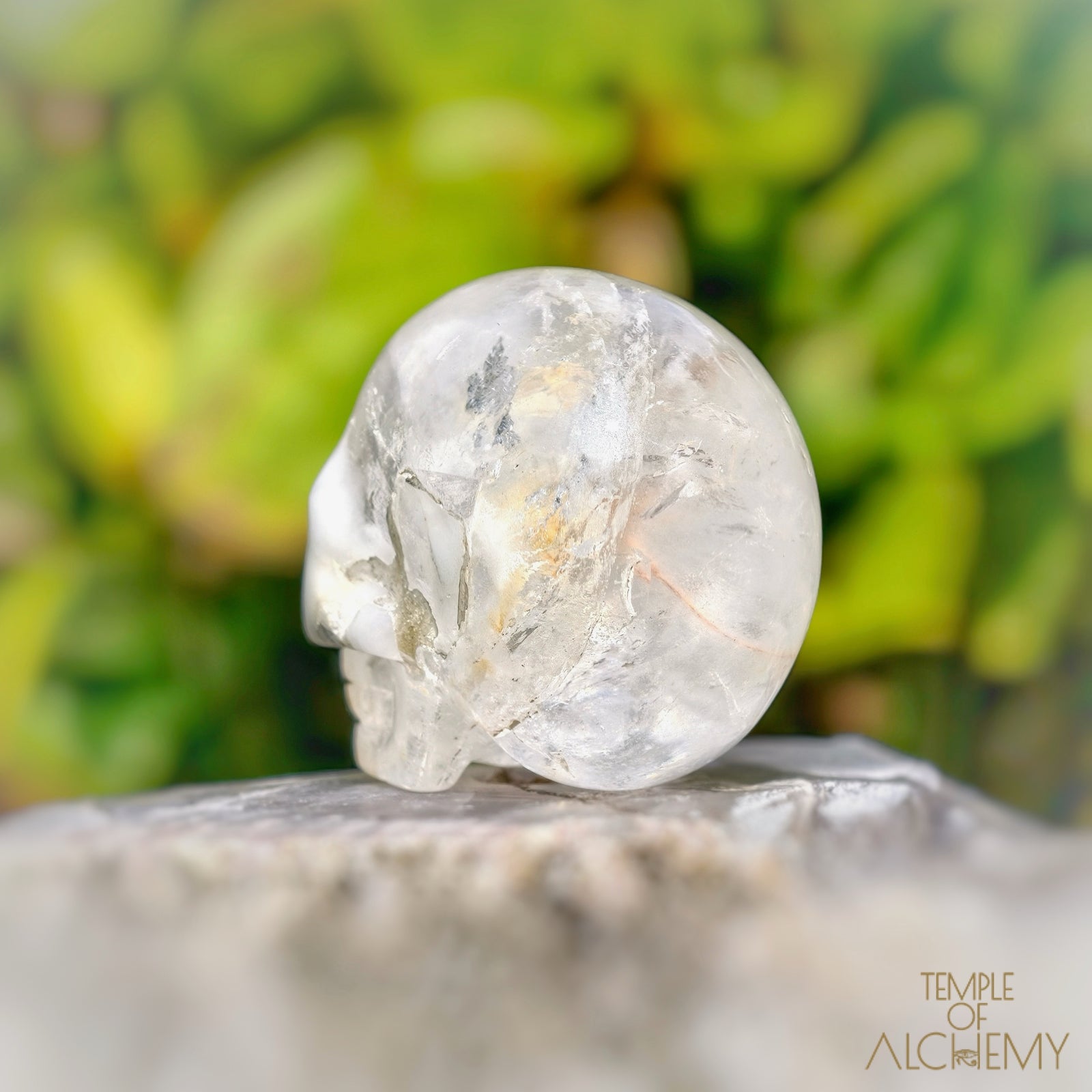 Amphibole Quartz
