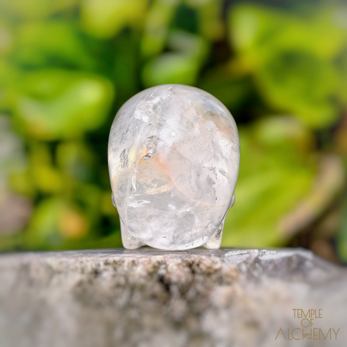 Amphibole Quartz
