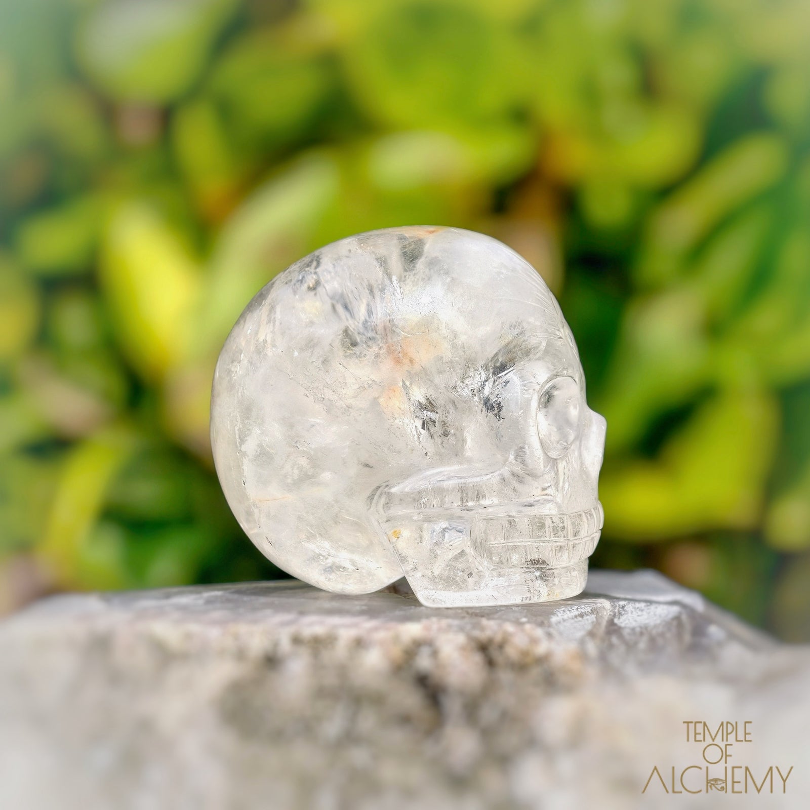 Amphibole Quartz