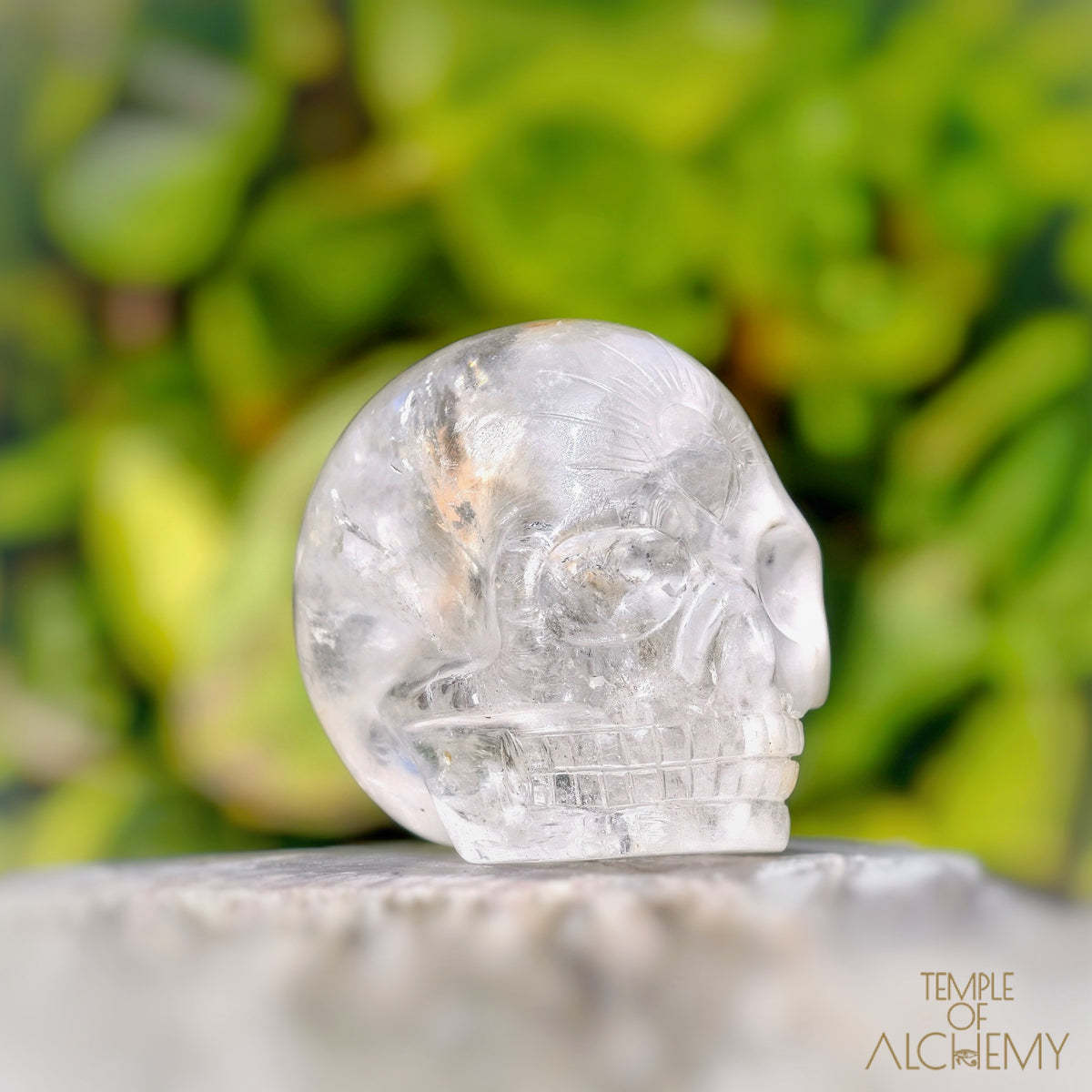 Amphibole Quartz