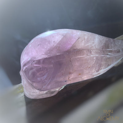 Amethyst + Phantoms