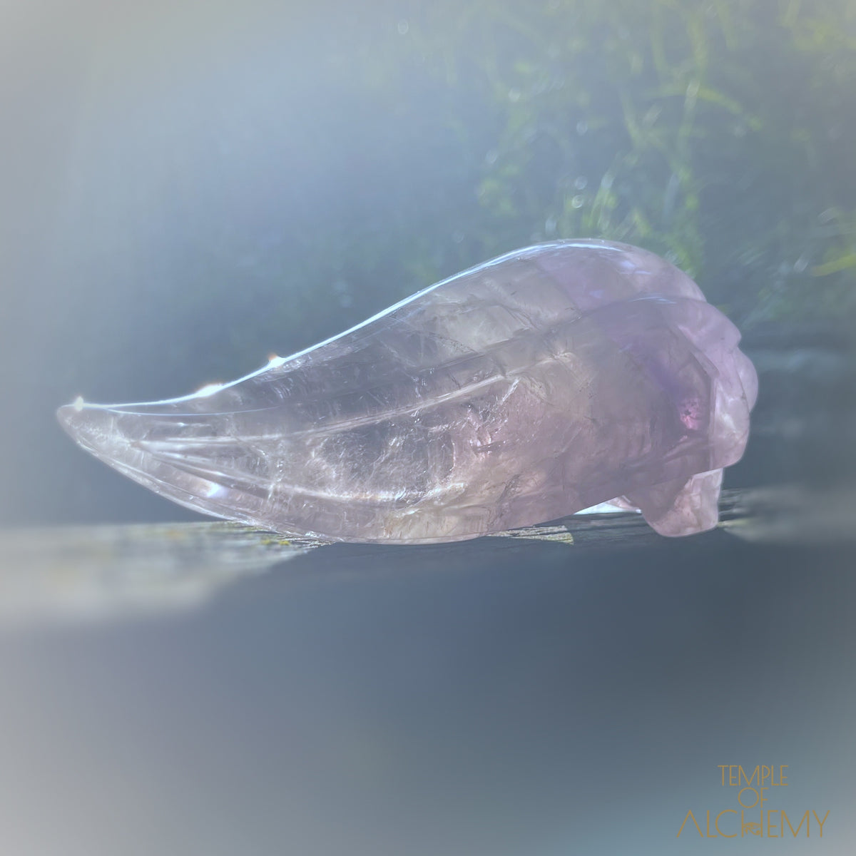 Phantom Amethyst