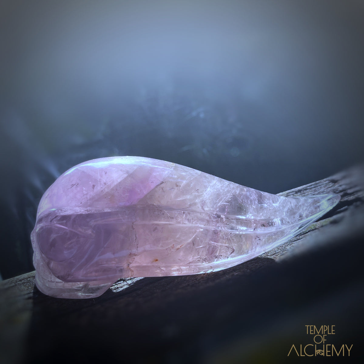 Phantom Amethyst