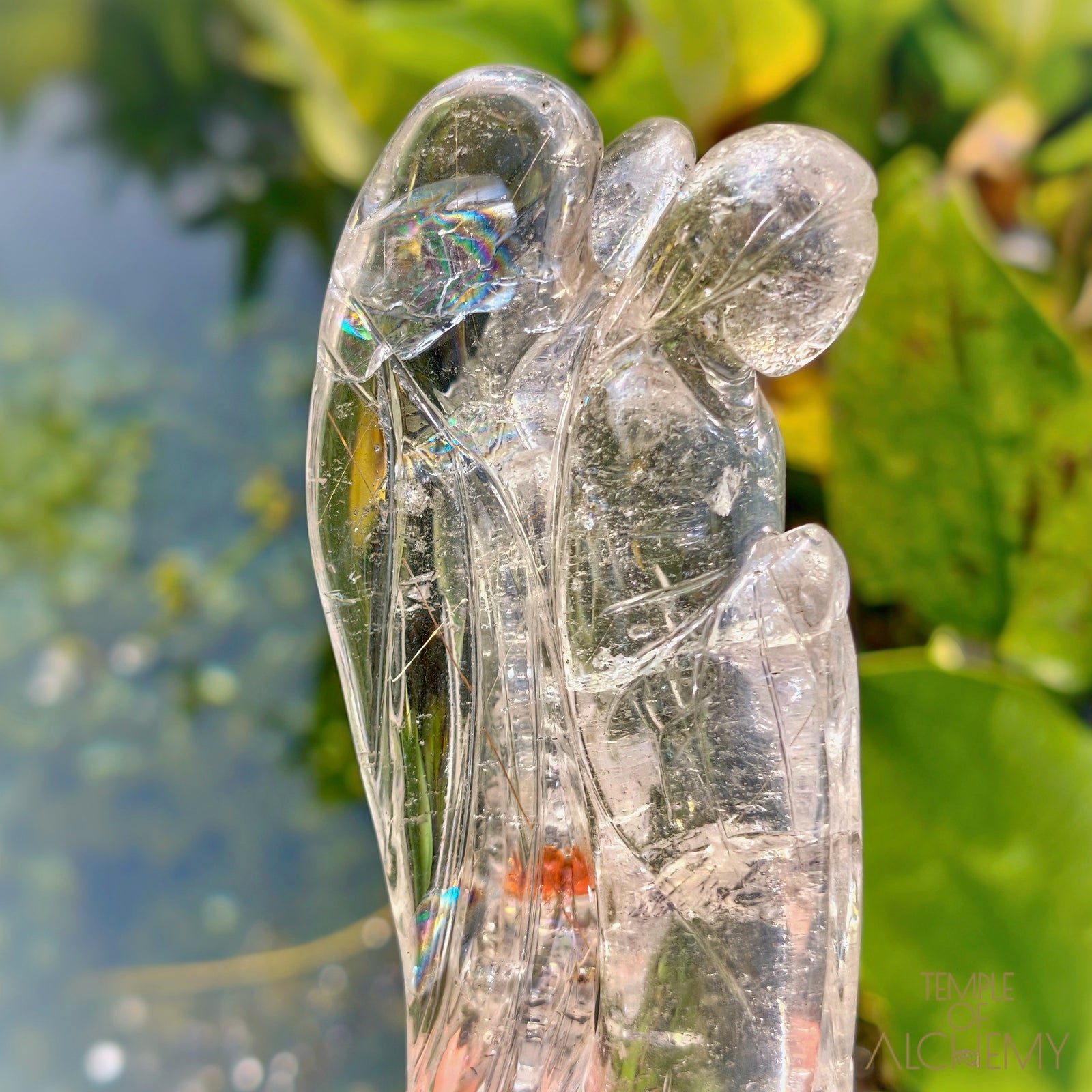 Golden - Copper Rutiles in Clear Quartz
