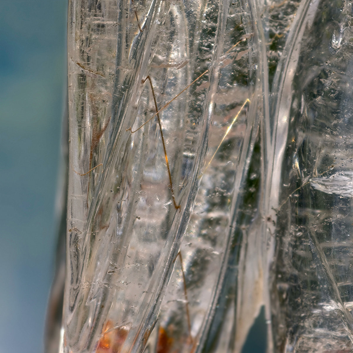 Golden - Copper Rutiles in Clear Quartz