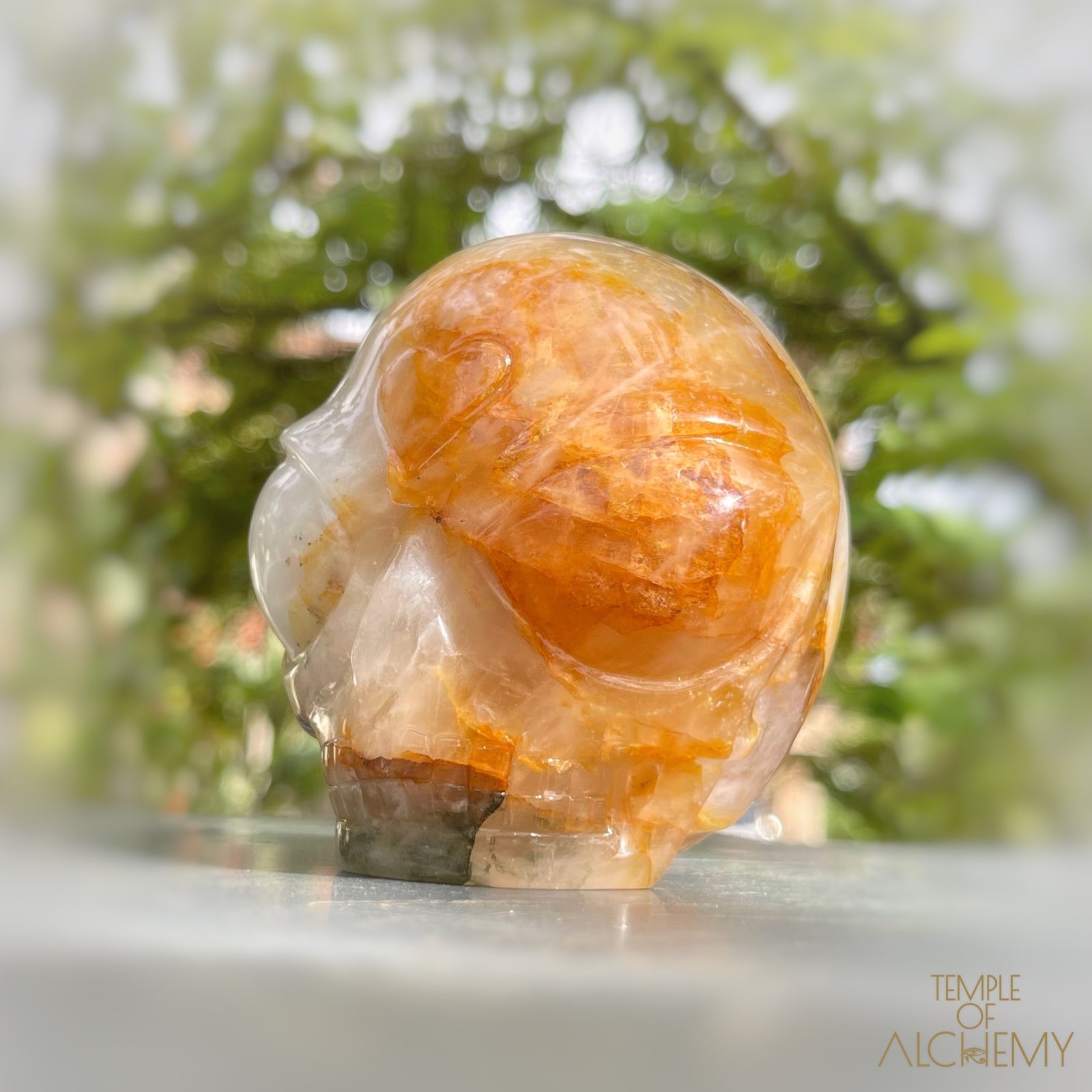 Golden Healer x Hematoid Quartz x Green Chlorite