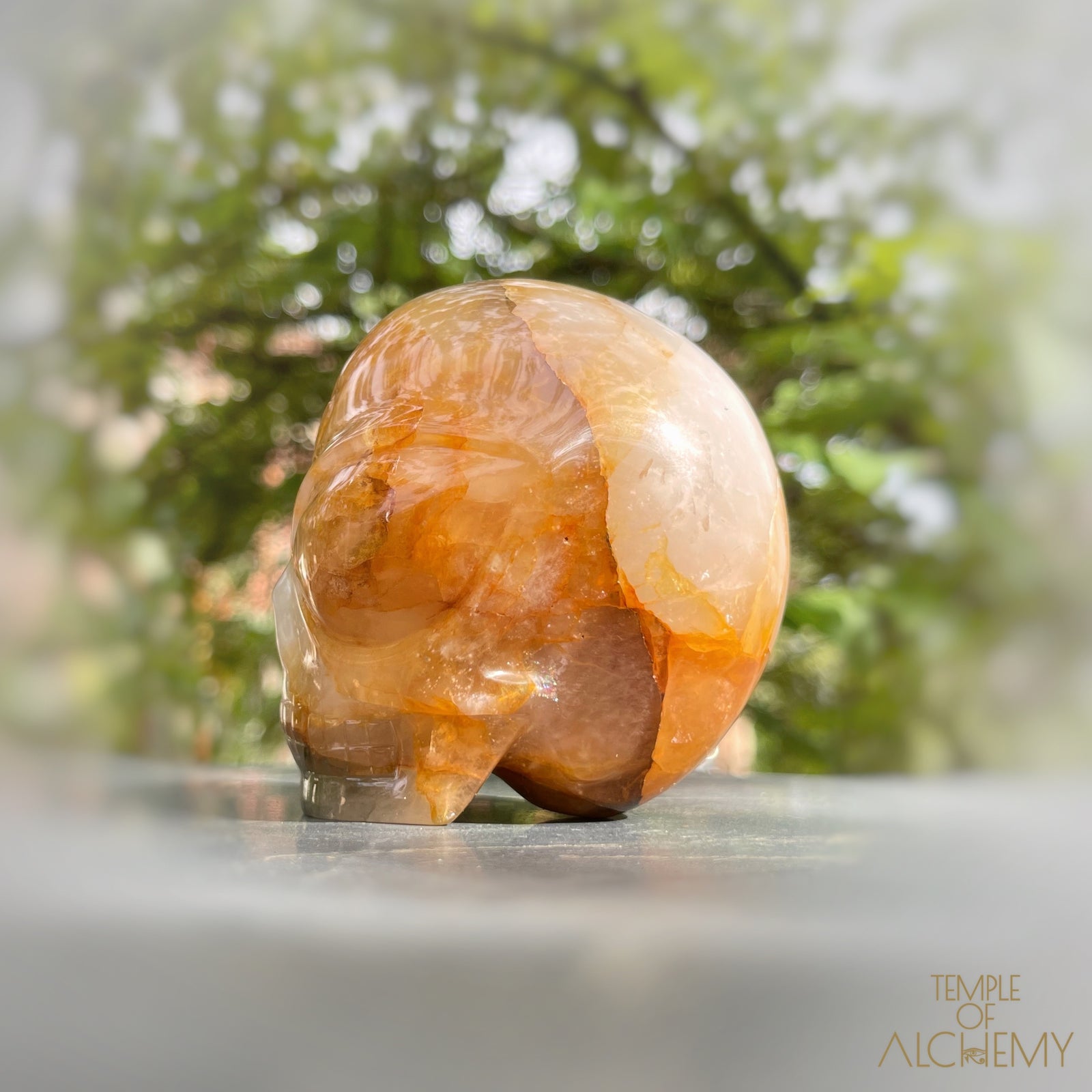 Golden Healer x Hematoid Quartz x Green Chlorite