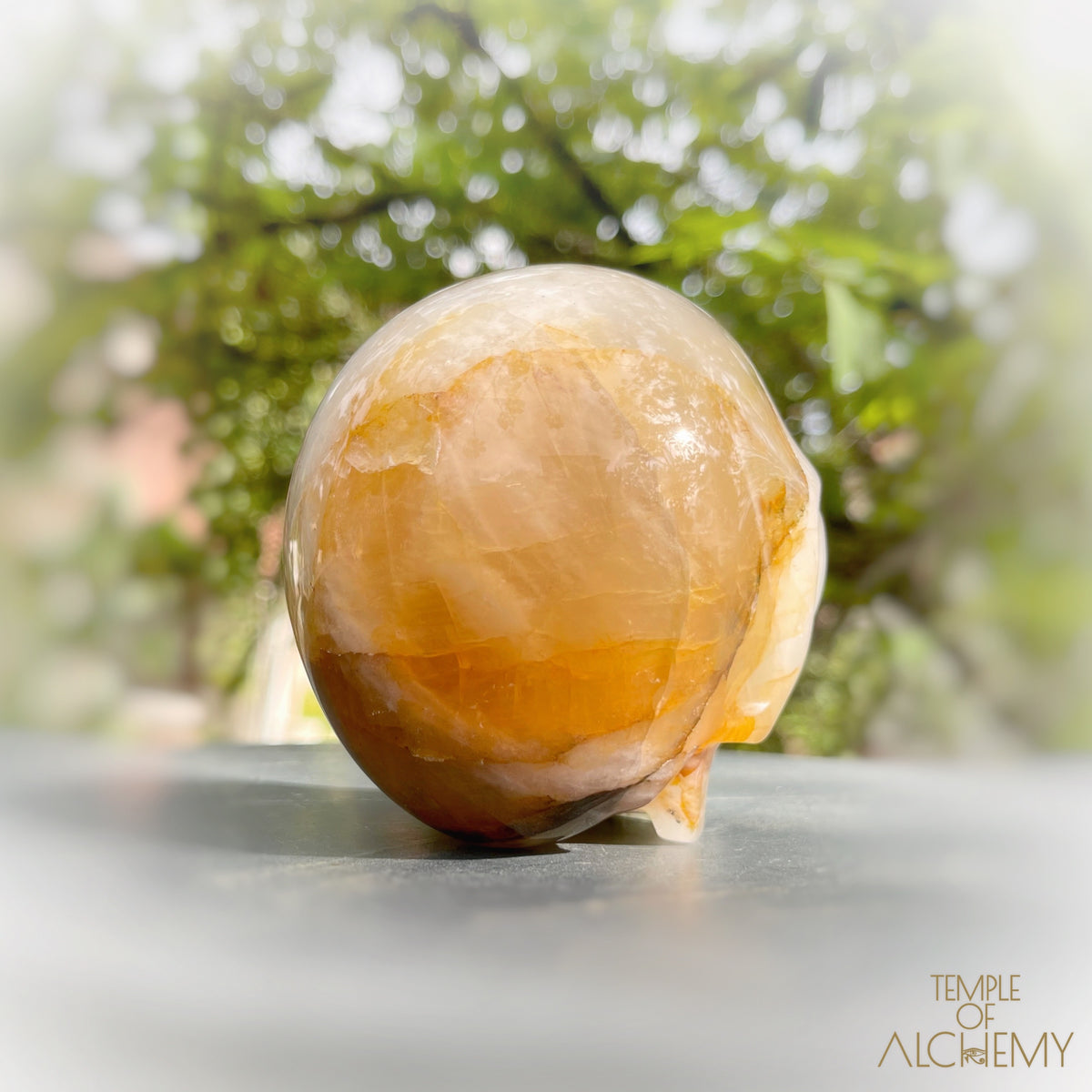 Golden Healer x Hematoid Quartz x Green Chlorite