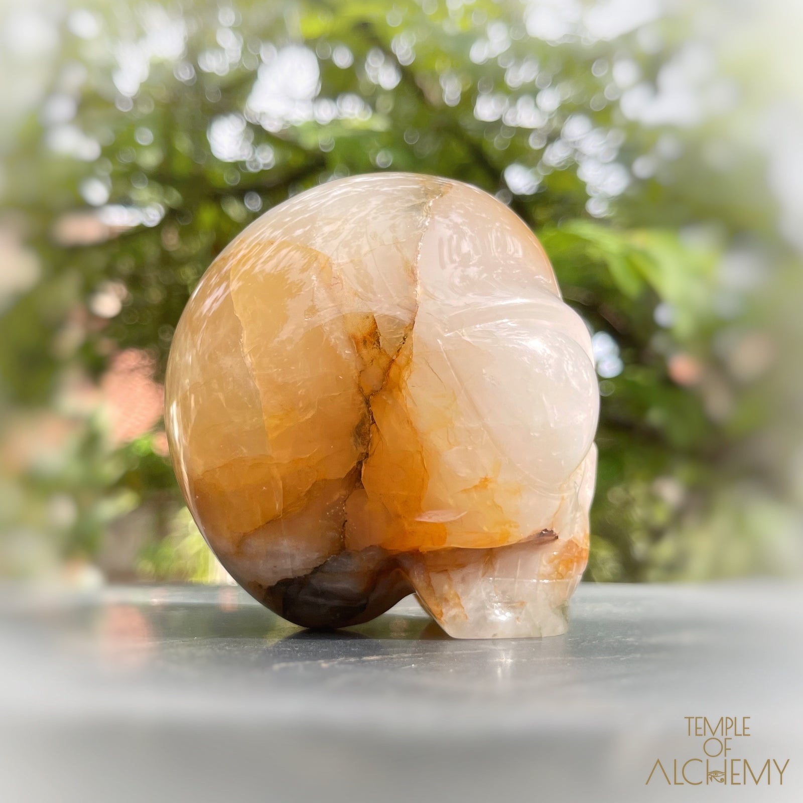 Golden Healer x Hematoid Quartz x Green Chlorite