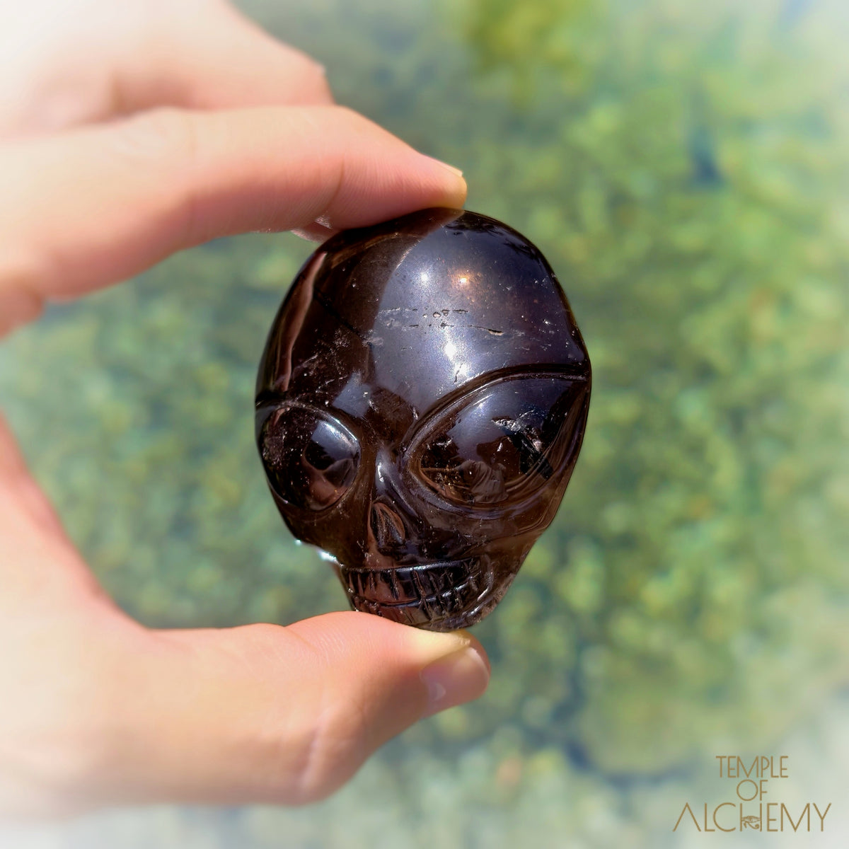 Smoky Quartz x Black Tourmaline