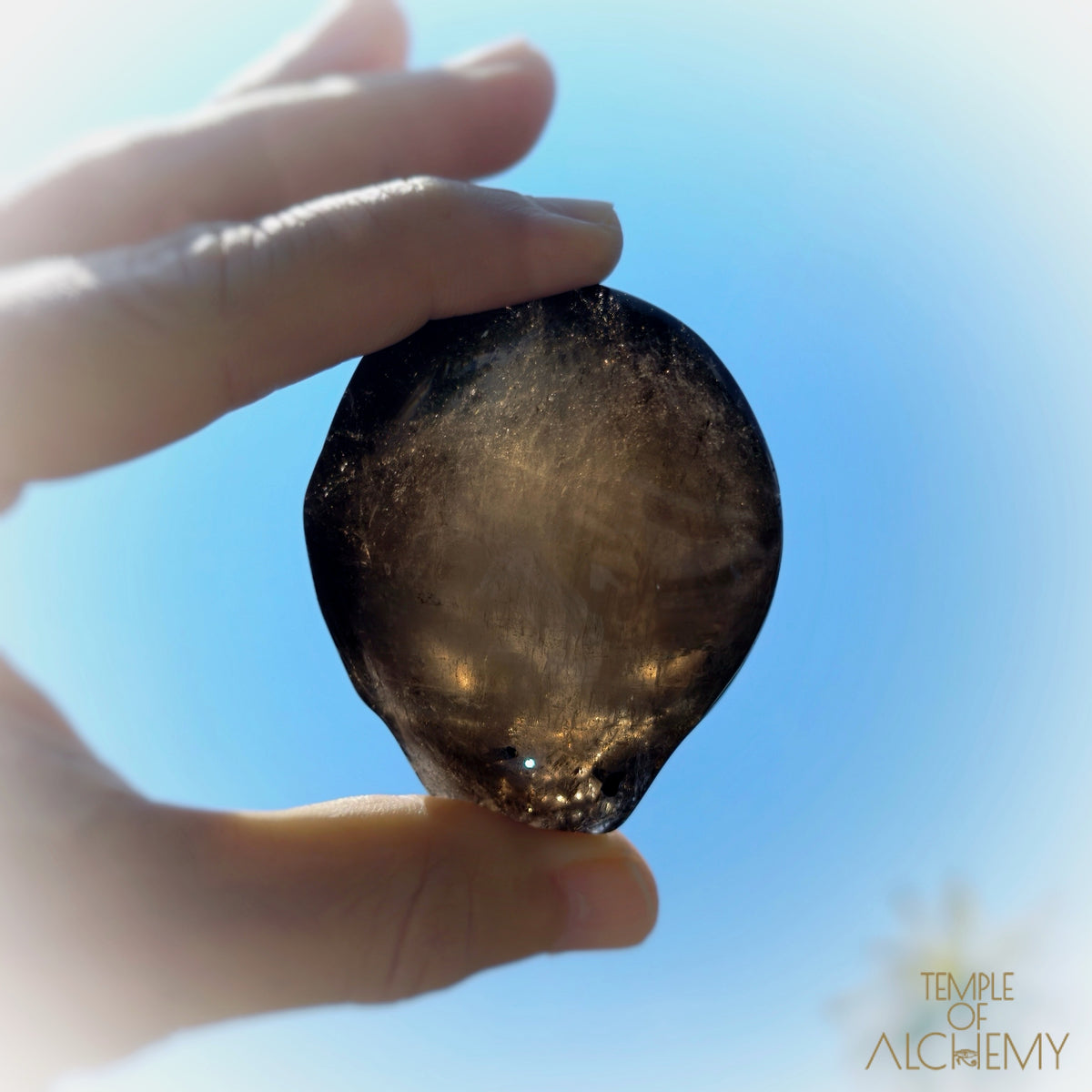 Smoky Quartz x Black Tourmaline