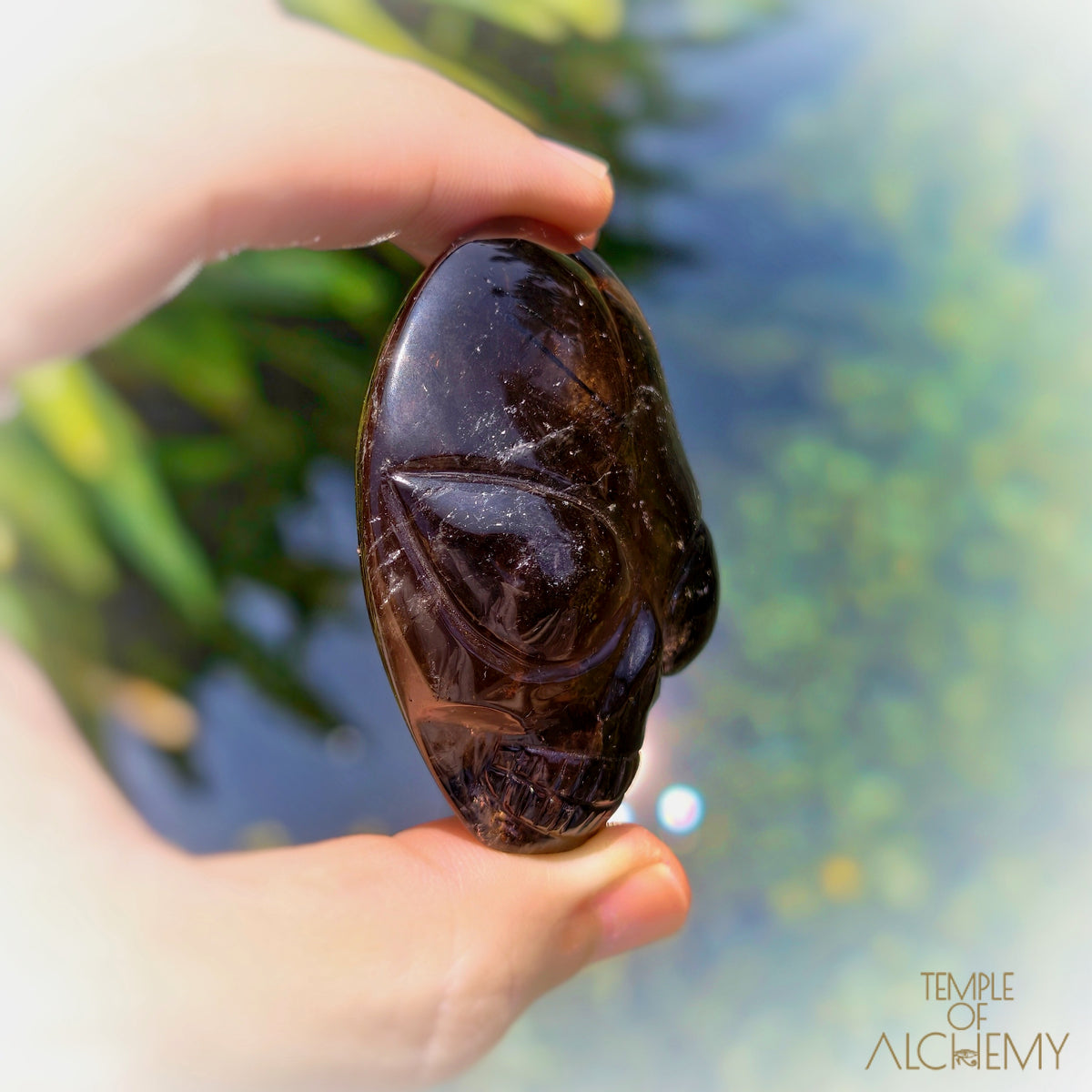 Smoky Quartz x Black Tourmaline