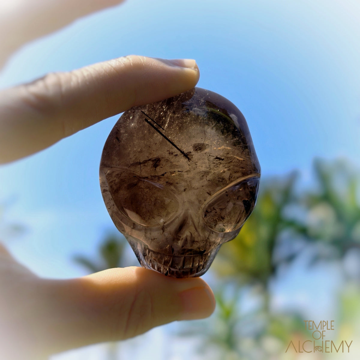 Smoky Quartz x Black Tourmaline
