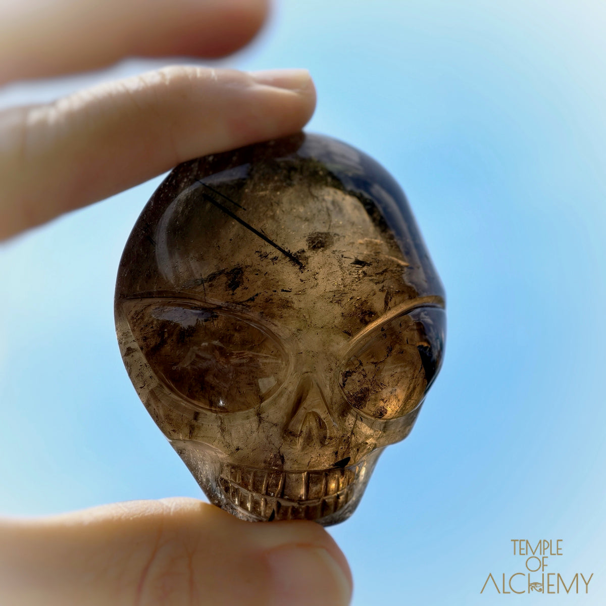 Smoky Quartz x Black Tourmaline