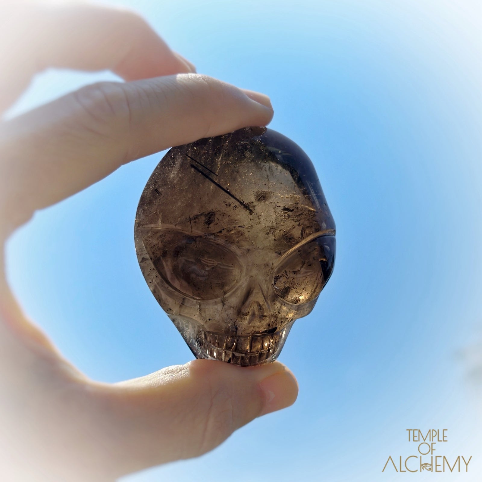 Smoky Quartz x Black Tourmaline