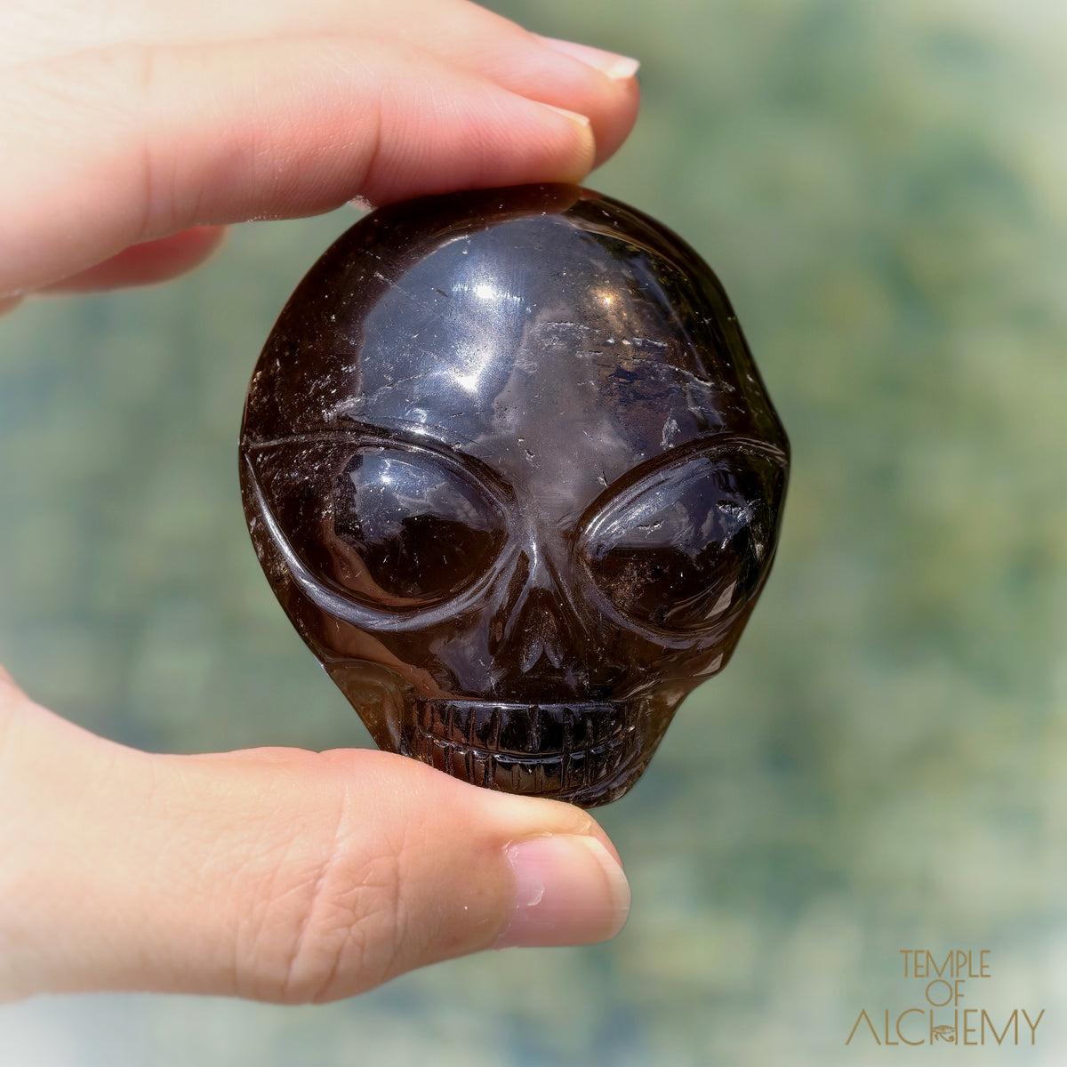 Smoky Quartz x Black Tourmaline