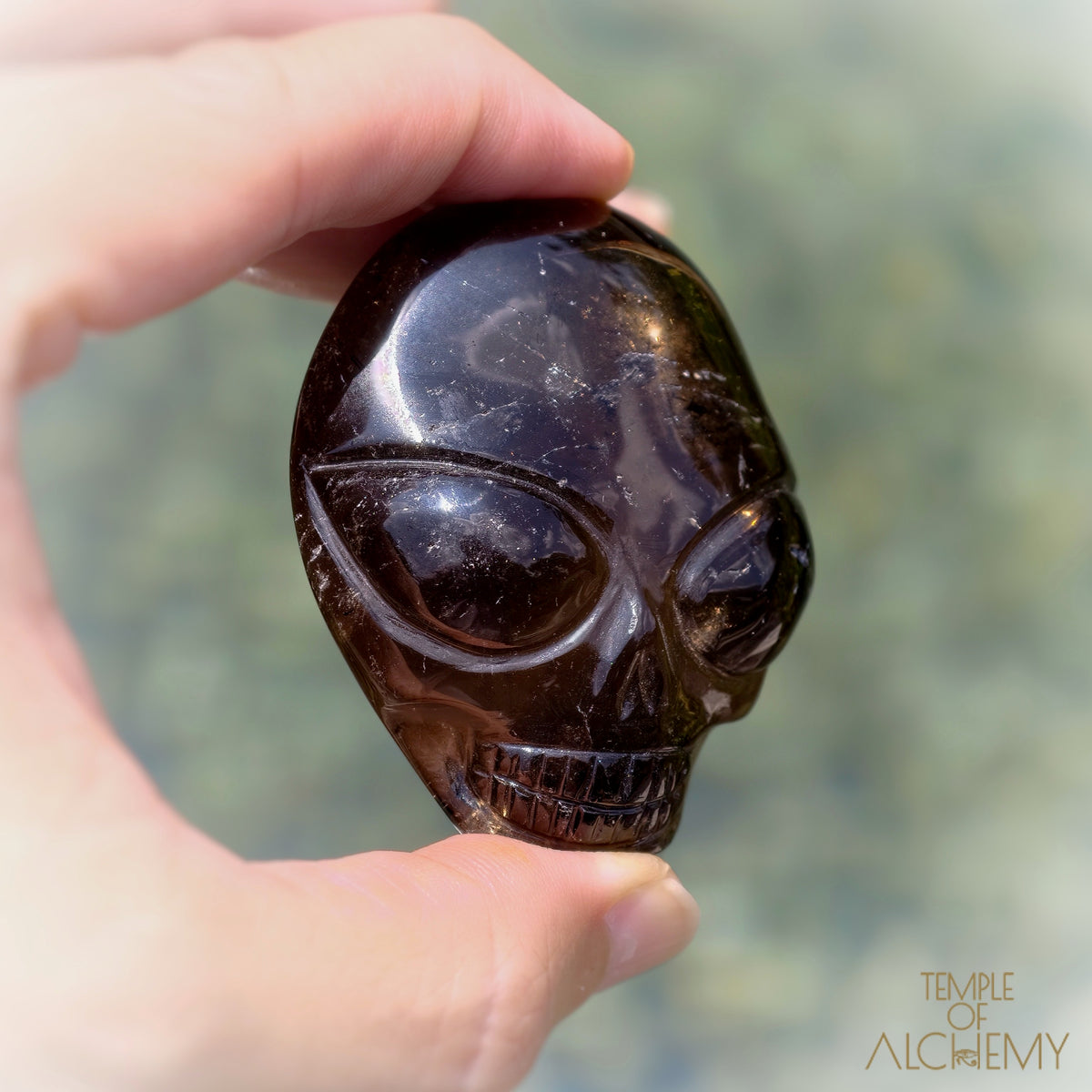 Smoky Quartz x Black Tourmaline