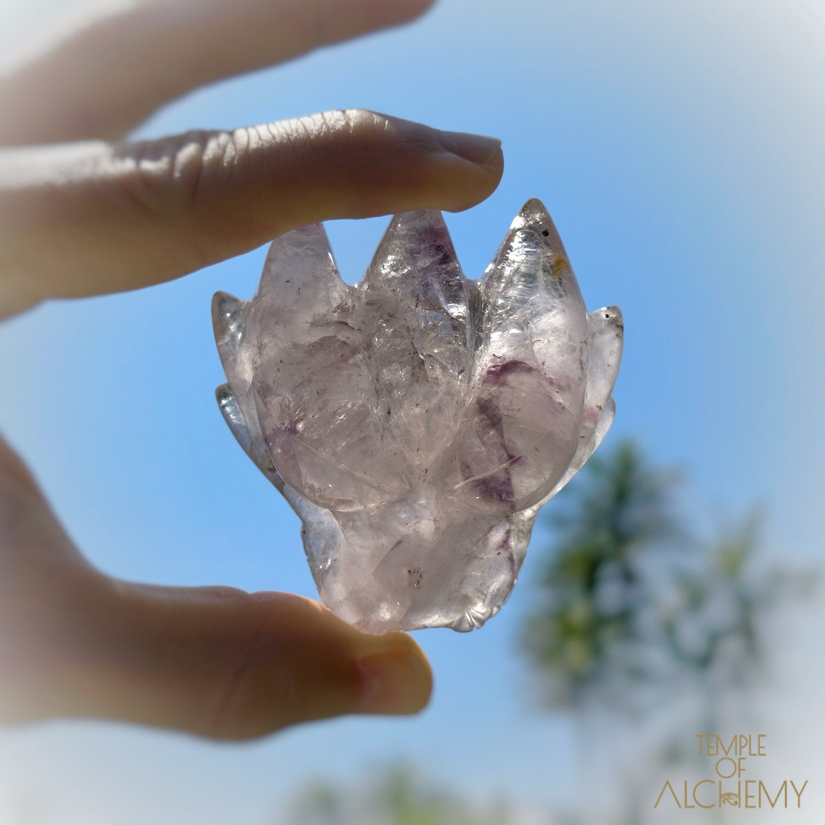 Elestial Trapiche Amethyst