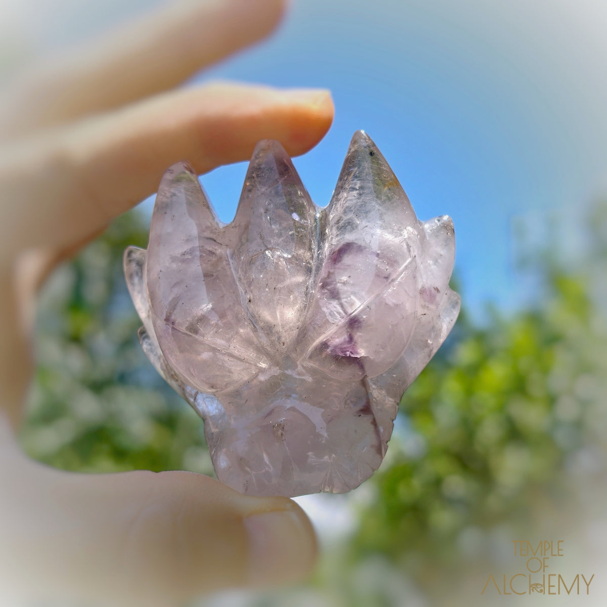 Elestial Trapiche Amethyst