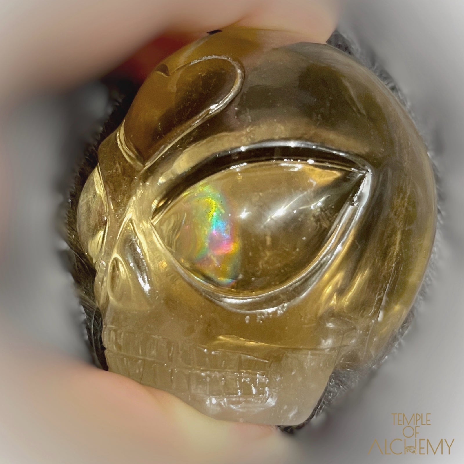 𓁹🌈𓁹 Citrine