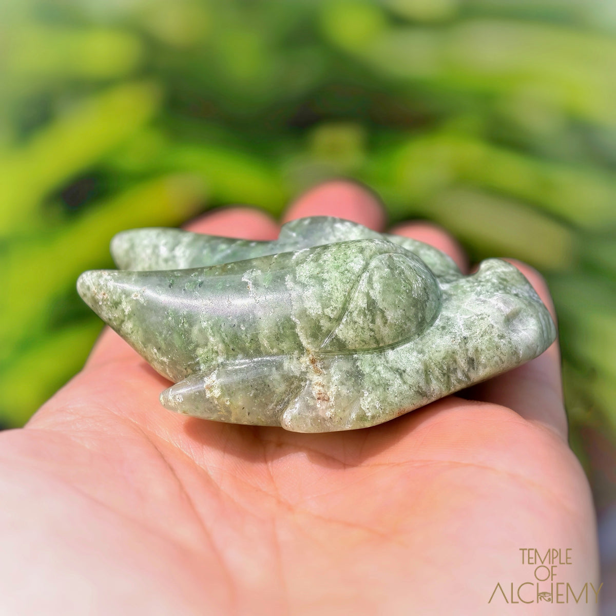 Green Chlorite x Chalcedony