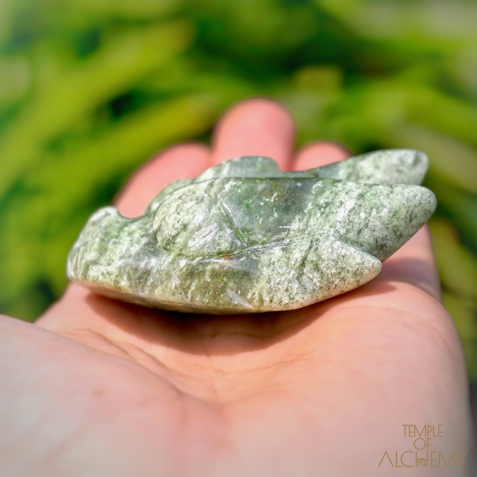 Green Chlorite x Chalcedony