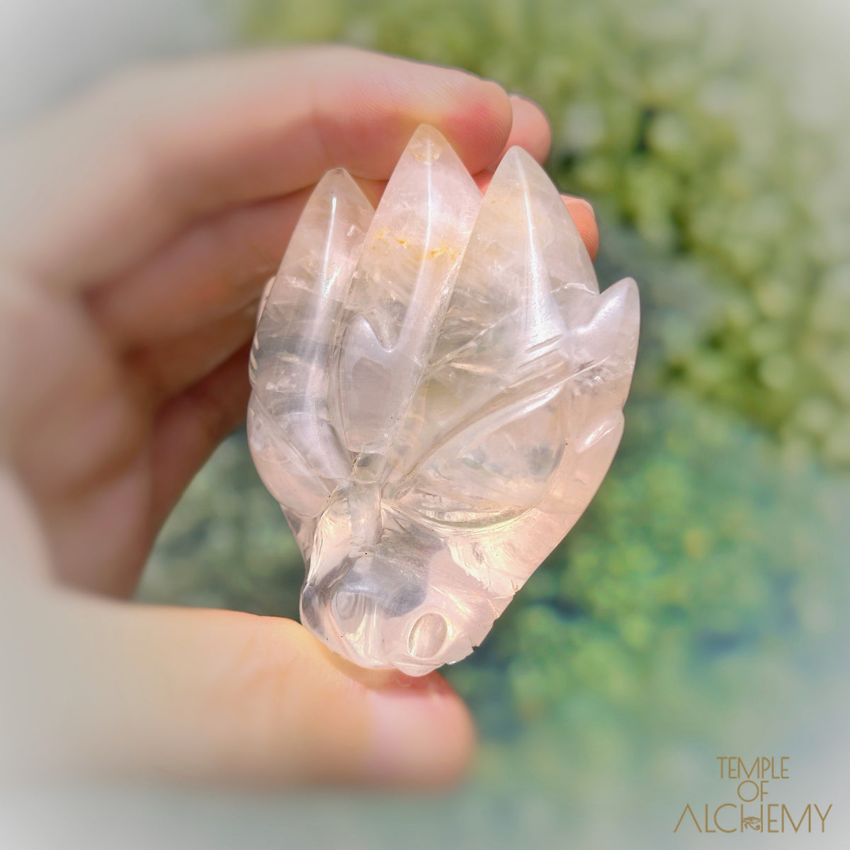 Golden Healer Girasol Quartz
