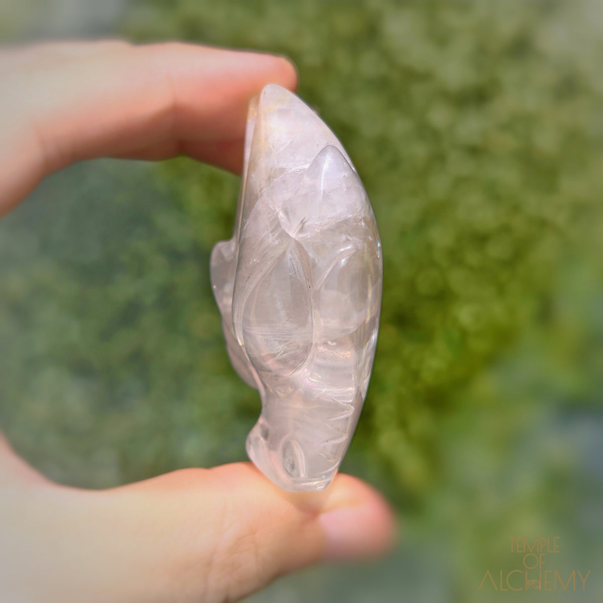 Golden Healer Girasol Quartz