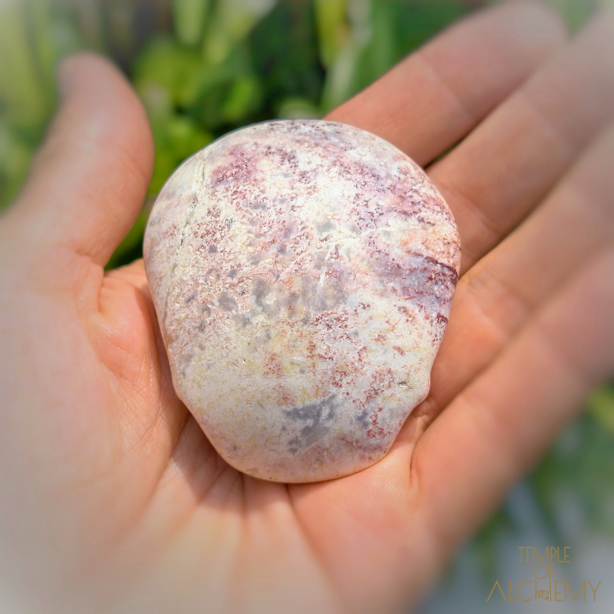 Triphylite x Lithium
