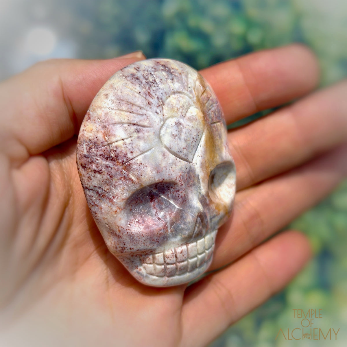 Triphylite x Lithium