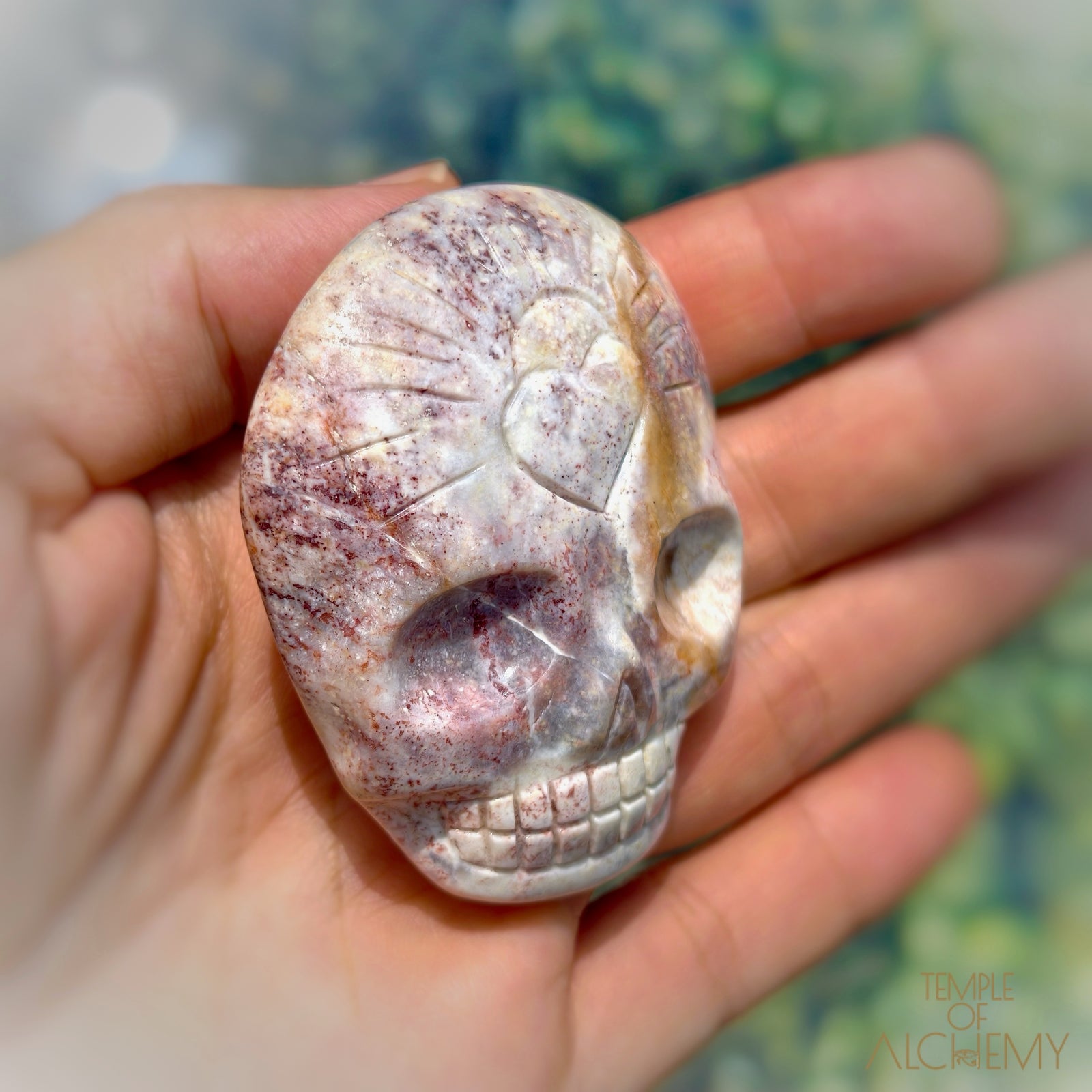 Triphylite x Lithium
