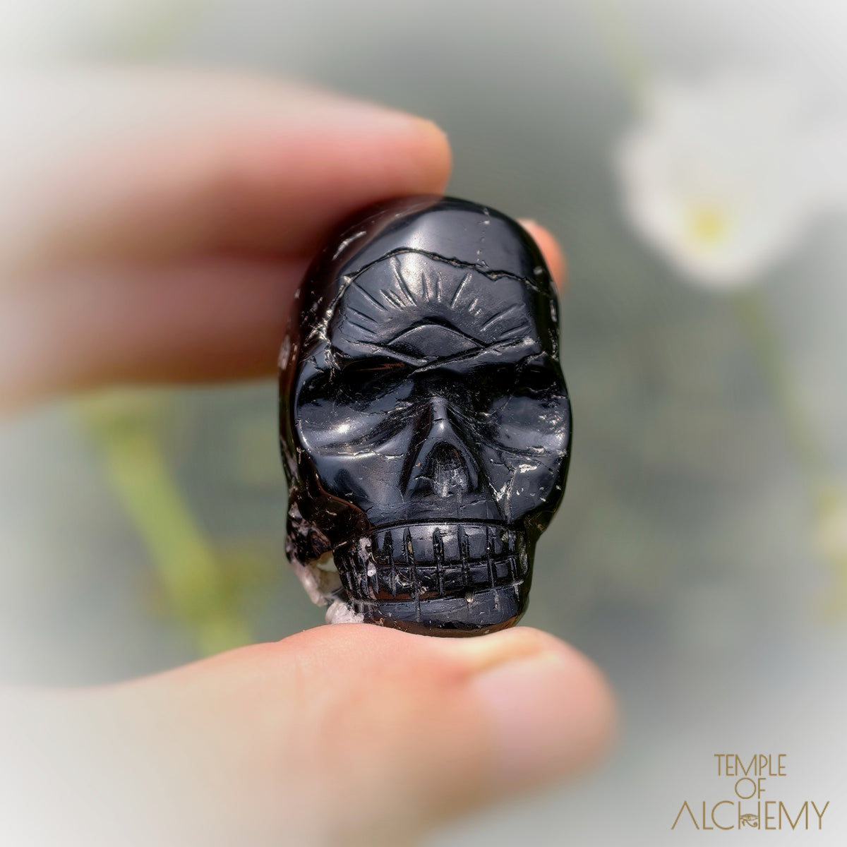 Black Tourmaline x Feldspar
