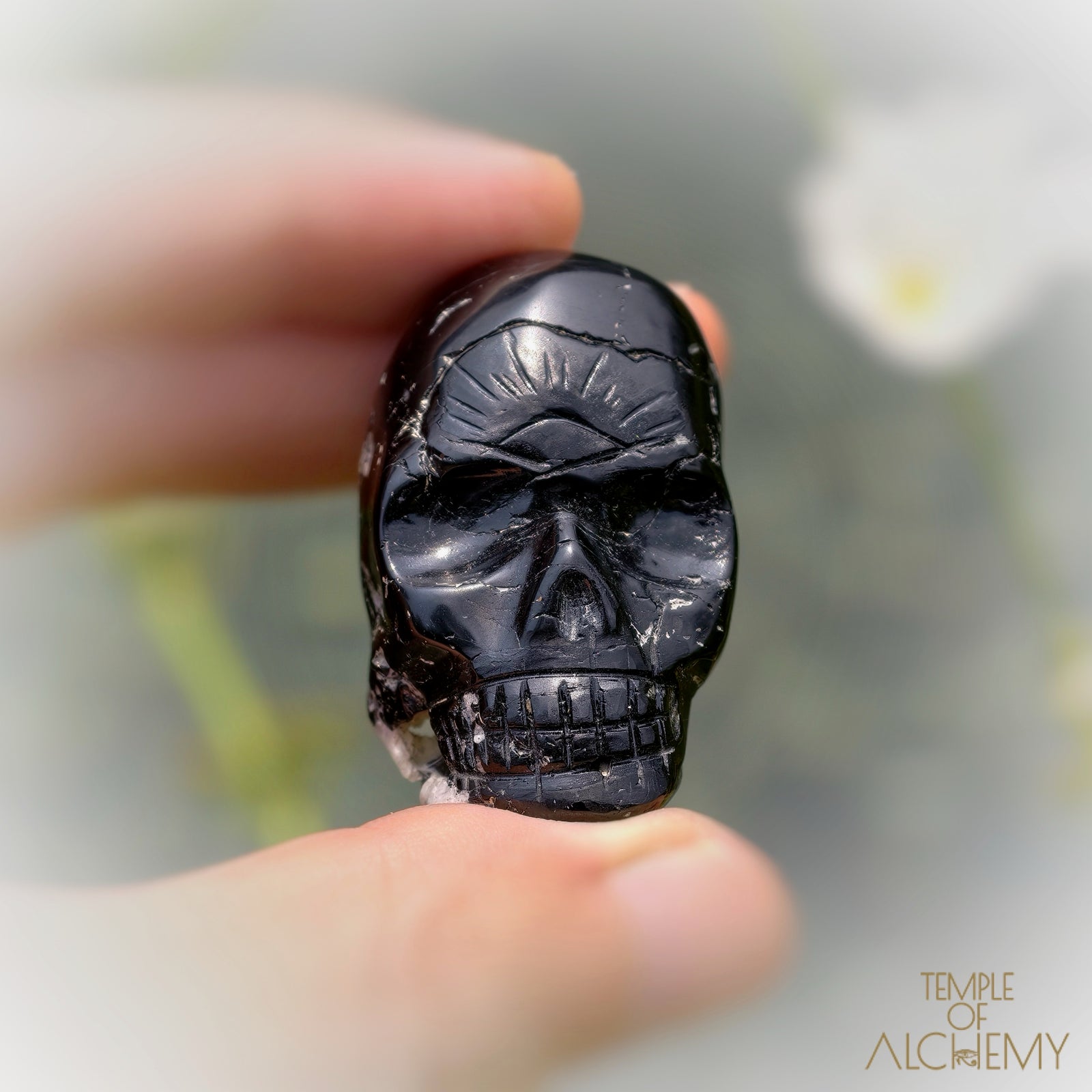 Black Tourmaline x Feldspar