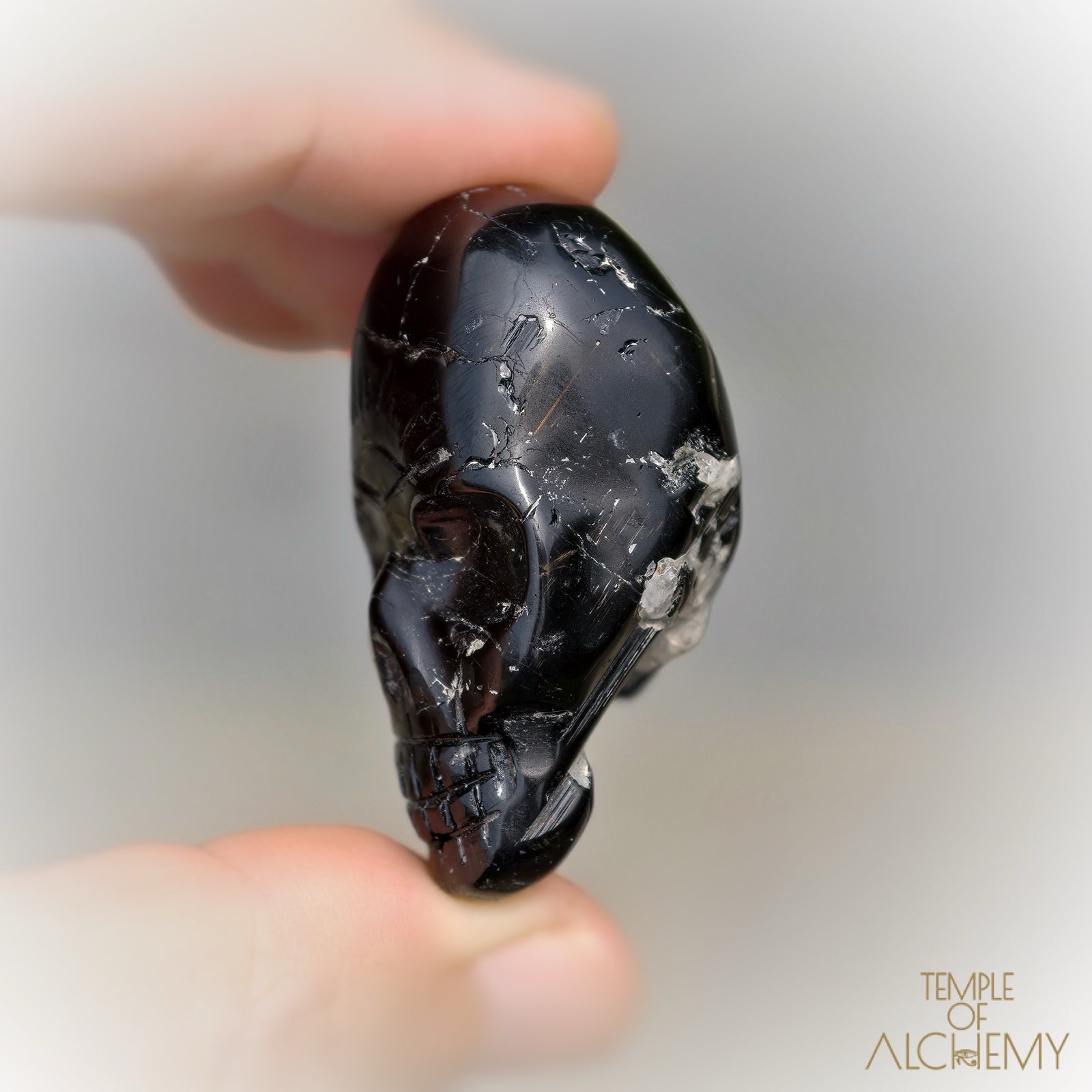Black Tourmaline x Feldspar