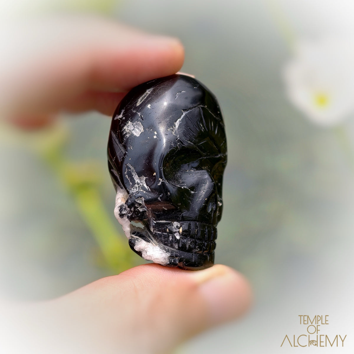Black Tourmaline x Feldspar