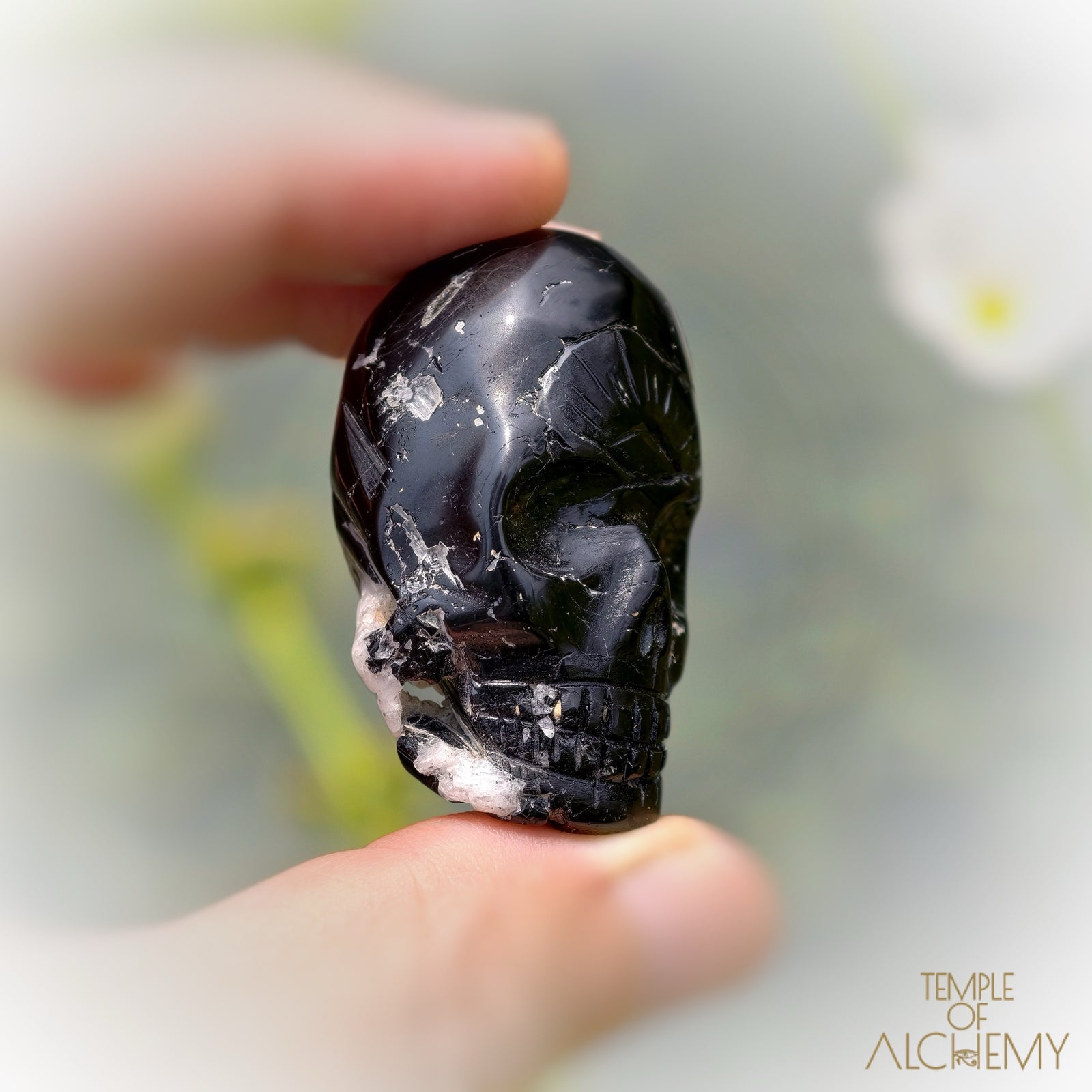 Black Tourmaline x Feldspar