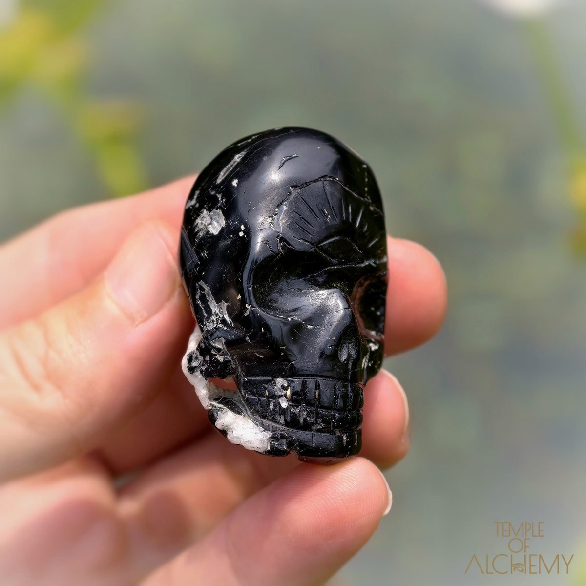 Black Tourmaline x Feldspar