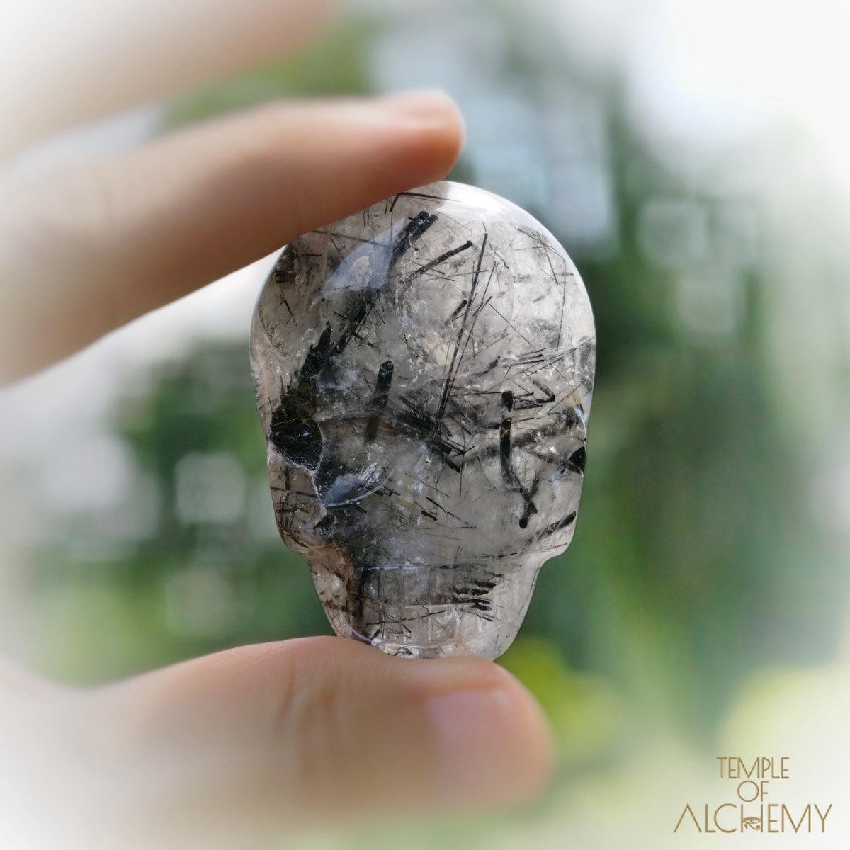 The Protector  𓆃 Black Tourmaline x Milky Quartz