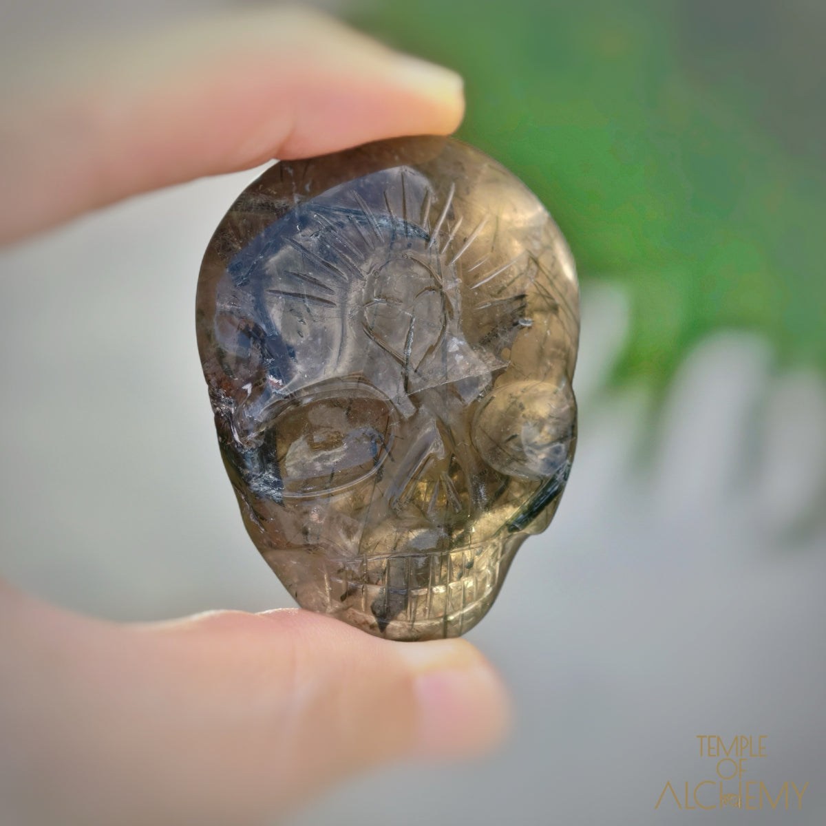 Rare 𓆃 Smoky Quartz x Green Tourmaline