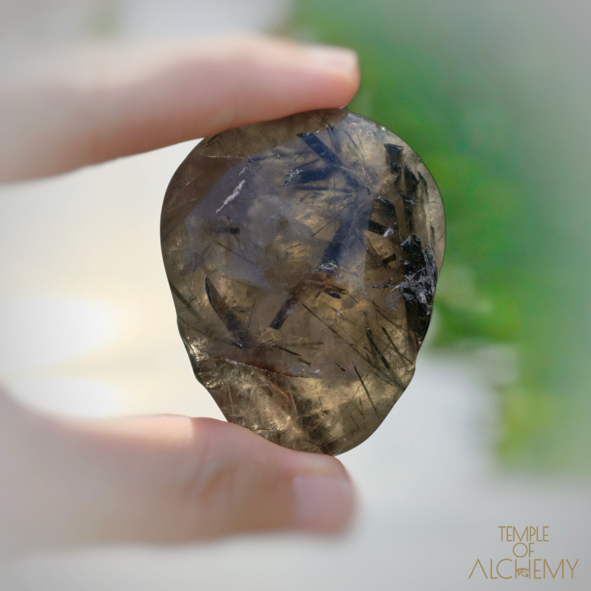 Rare 𓆃 Smoky Quartz x Green Tourmaline
