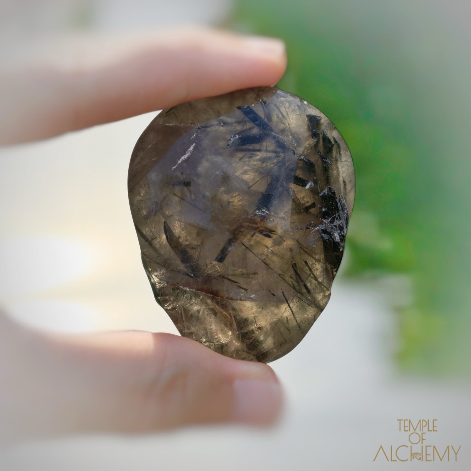 Rare 𓆃 Smoky Quartz x Green Tourmaline