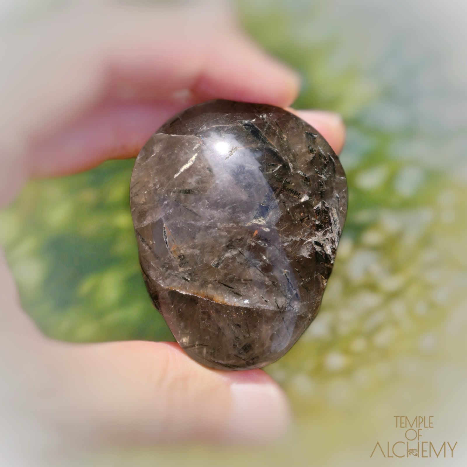 Rare 𓆃 Smoky Quartz x Green Tourmaline