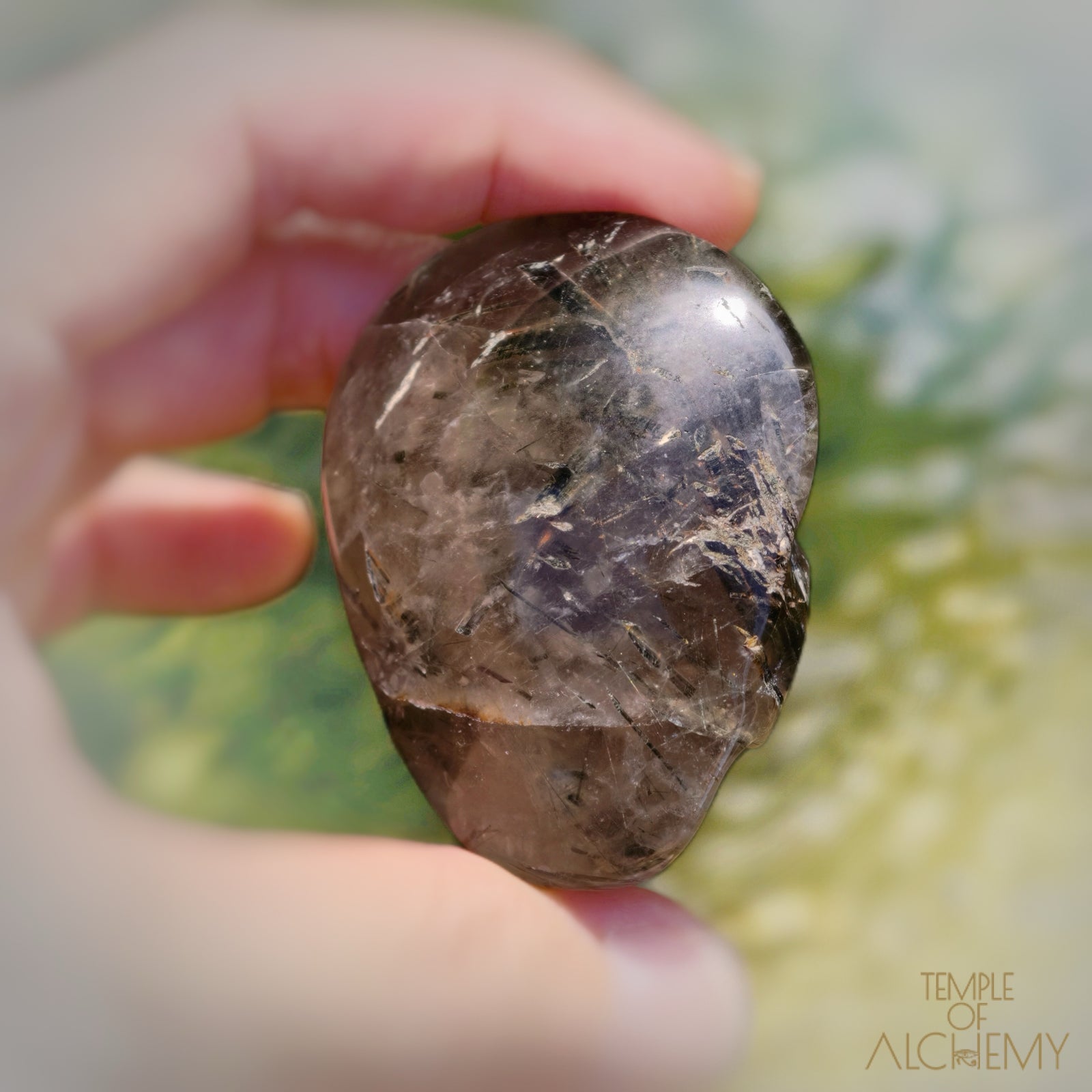 Rare 𓆃 Smoky Quartz x Green Tourmaline