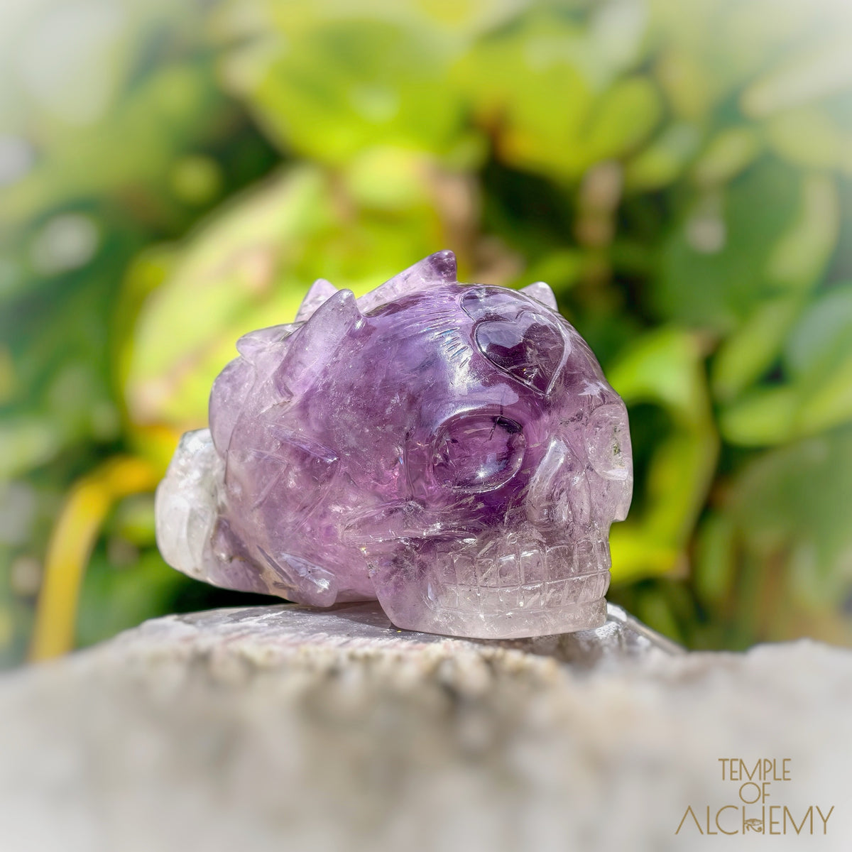 Phantom Amethyst