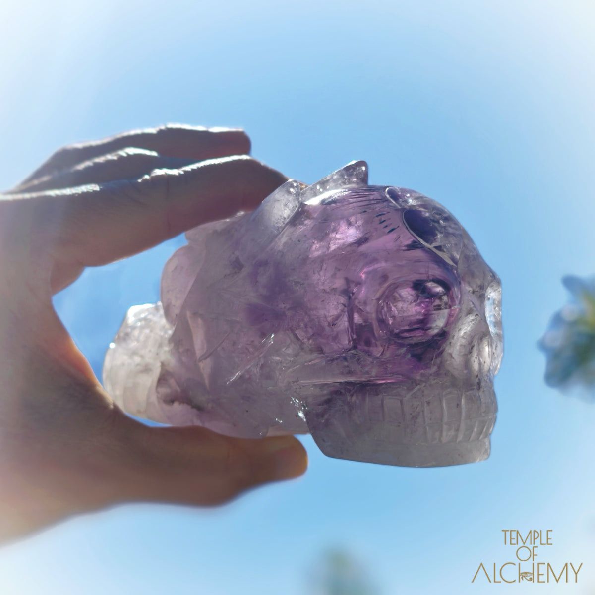 Phantom Amethyst