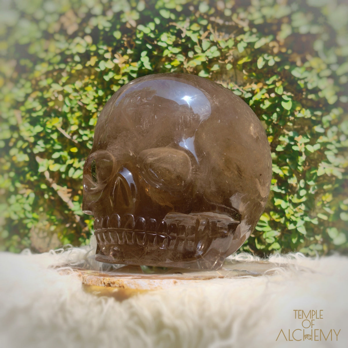 Smoky Citrine Sirius Quartz