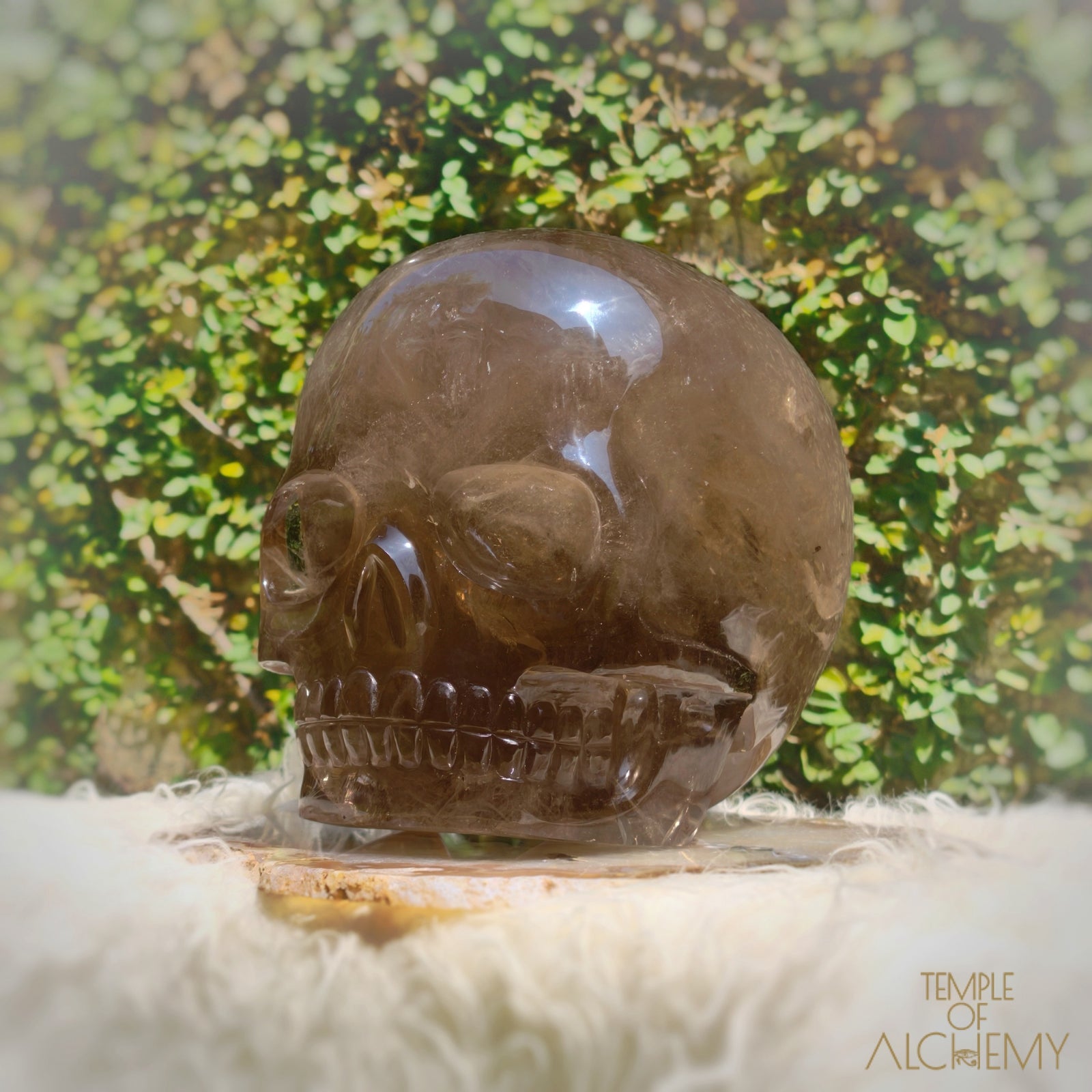 Smoky Citrine Sirius Quartz