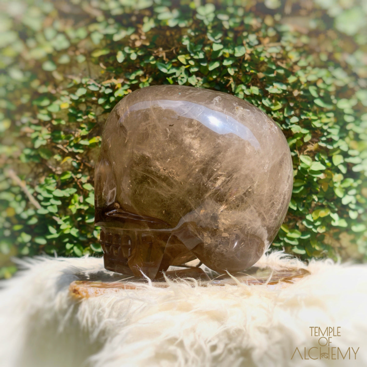 Smoky Citrine Sirius Quartz